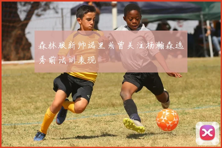 森林狼新帅诺里或曾关注杨瀚森选秀前试训表现