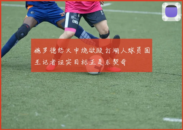 施罗德怒火中烧欲殴打湖人球员国王记者证实目标正是东契奇