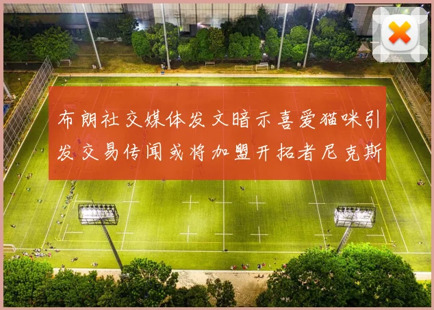 布朗社交媒体发文暗示喜爱猫咪引发交易传闻或将加盟开拓者尼克斯雷霆湖人